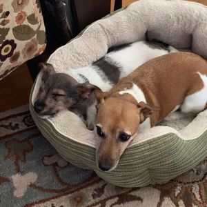 Meet your Posher, Lori